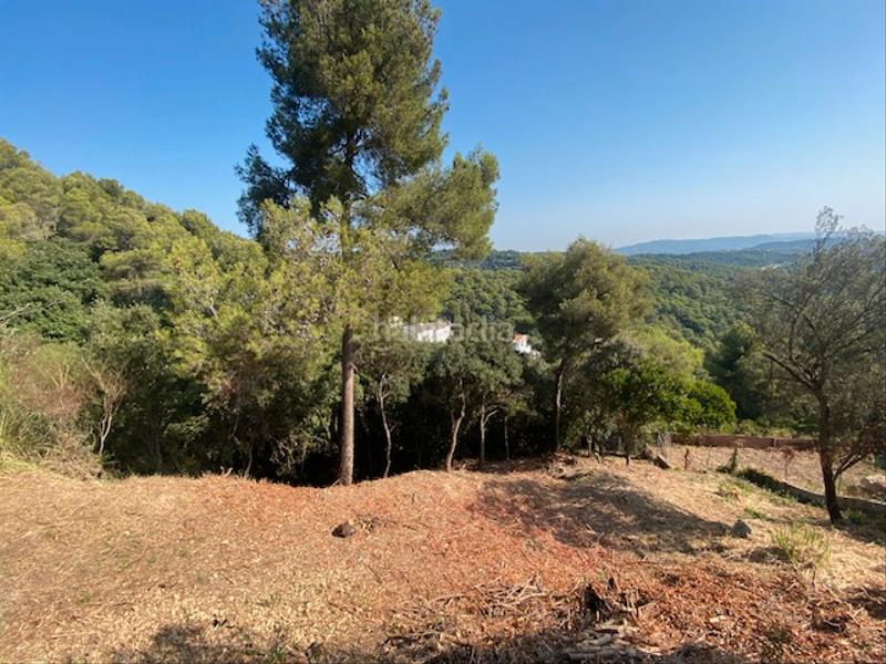 Foto ecb80bb4-993e-4475-a990-e5d1cf379f46. Terreno residenziale in Palafolls