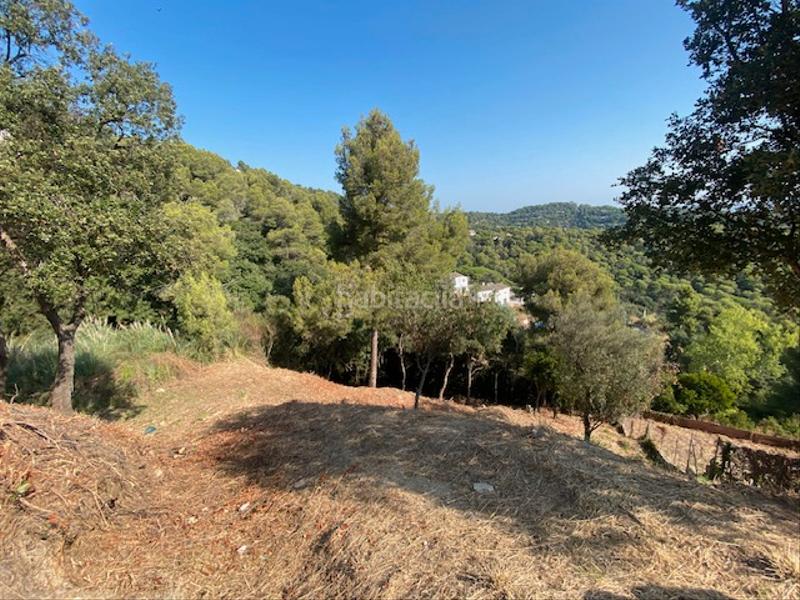 Foto fcea06c5-29a9-4331-bd76-2a5c1a4b5a50. Terreno residenziale in Palafolls