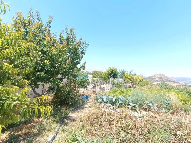 Foto b8b62116-d2cc-44ea-ad3a-cae9c308ccd1. Masía cortijo en Vélez - Blanco