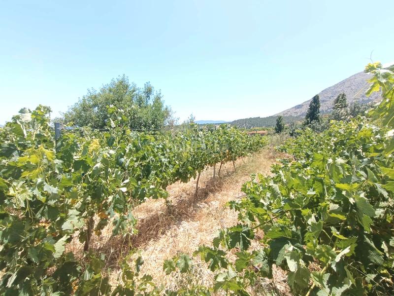 Foto c764731b-d29a-4c5c-b0d7-8a7c95f70931. Masía cortijo en Vélez - Blanco
