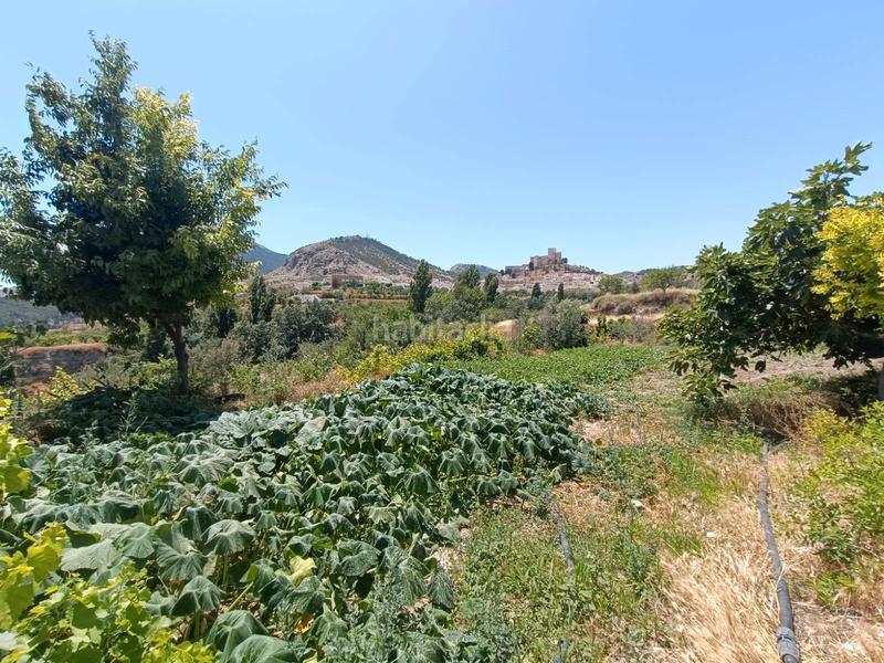 Foto dacd1345-1cc7-424d-8bab-7a60e820f274. Masía cortijo en Vélez - Blanco