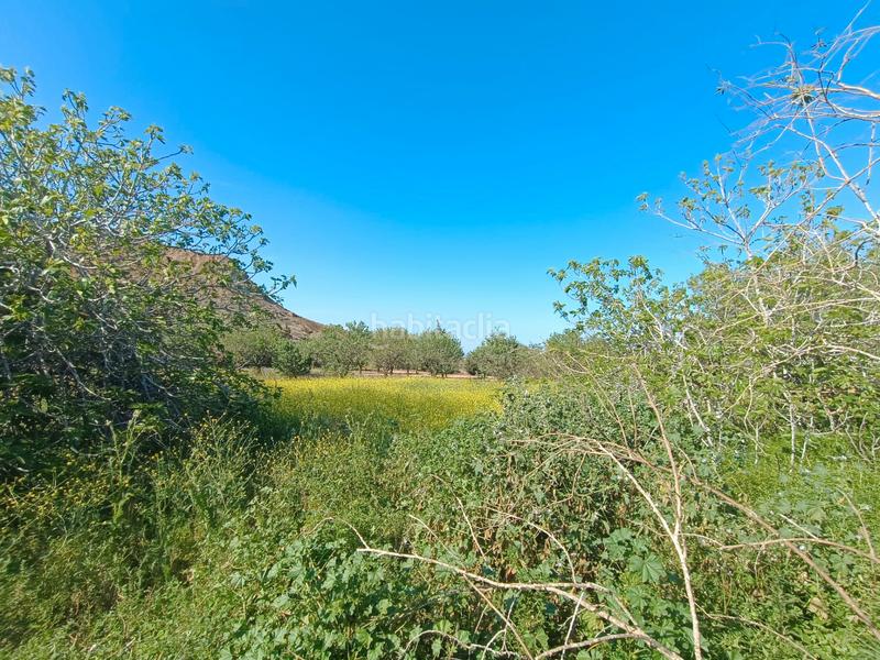 Foto a701676d-db51-42a8-a9ec-05e0a917bc33. Masía casa de campo con terreno en La Unión Unión (La)