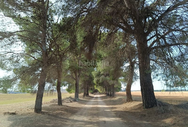 Foto 4ae540f3-8122-4cde-9996-4a47a1579900. Finca rústica a n/a a Caravaca de la Cruz