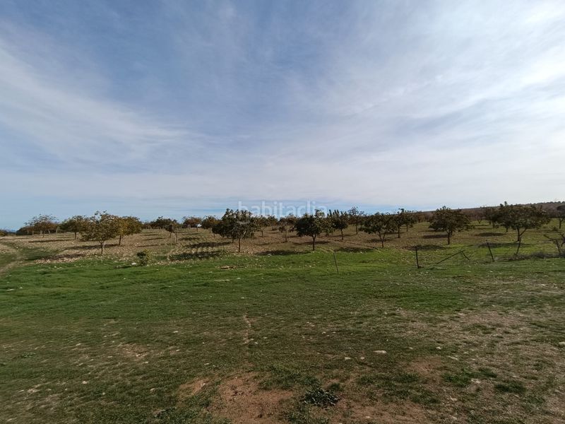 Foto 7741b012-8006-4df1-966b-a65339e2c42b. Finca rústica a n/a a Caravaca de la Cruz