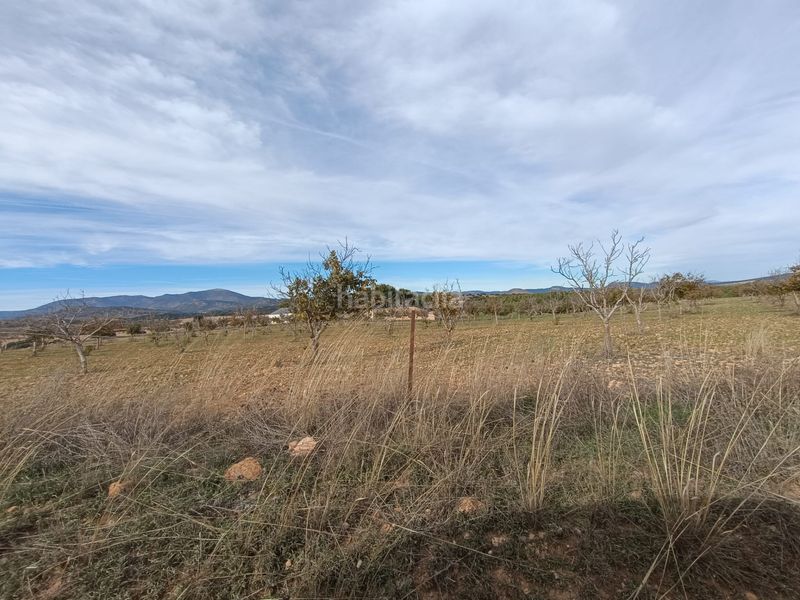 Foto a738d339-d9ef-444c-8058-813611fdc575. Finca rústica a n/a a Caravaca de la Cruz