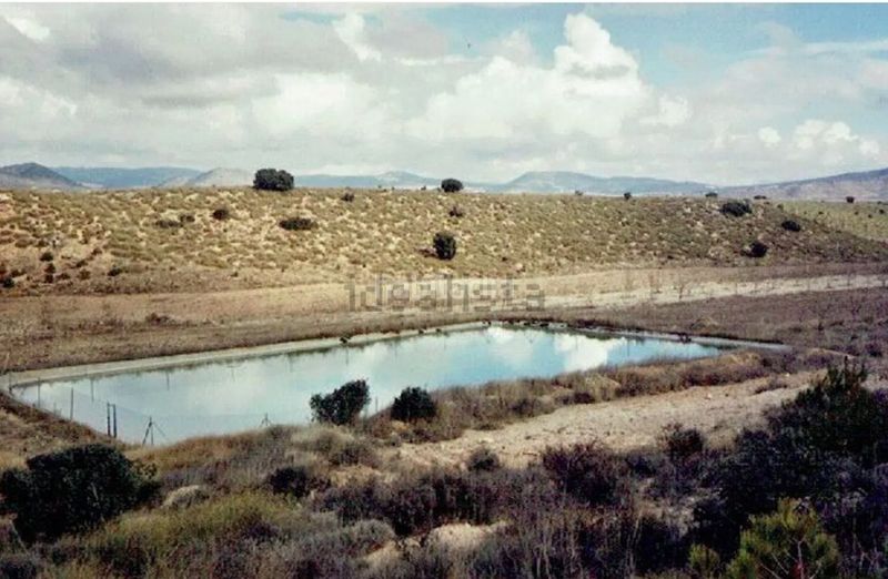 Foto b15dcaa2-99e4-4e7a-a1c6-73092df5424d. Finca rústica a n/a a Caravaca de la Cruz