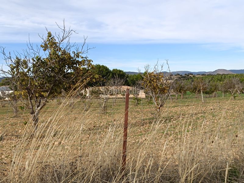 Foto fc4fb487-3346-4594-a556-0c0474a2a2d9. Finca rústica a n/a a Caravaca de la Cruz