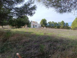 Finca rústica a N/a. Finca rustica con balsa