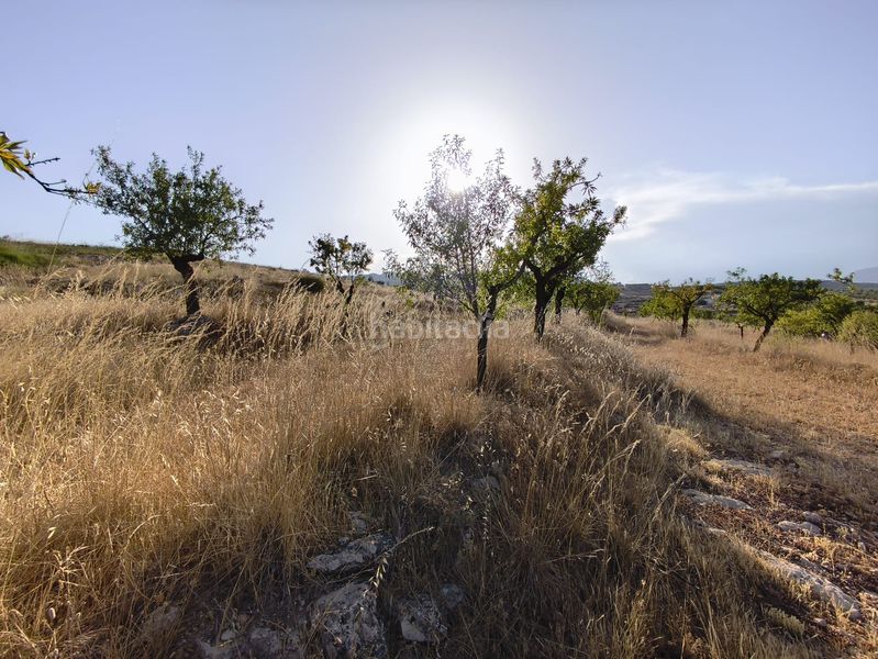 Foto cbe70e95-5124-4f3f-80af-d50c713b602d. Finca rústica a Vélez - Blanco