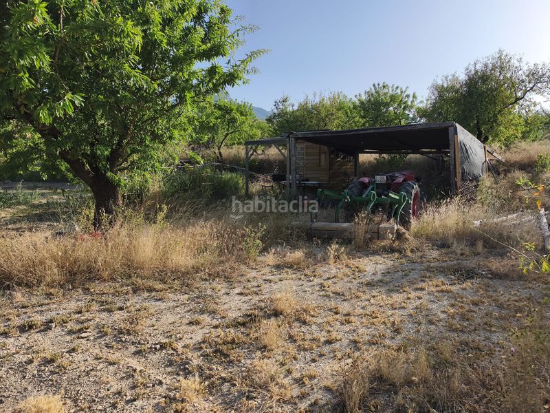Foto d574b433-e7ab-41d3-bf36-874565268f43. Finca rústica a Vélez - Blanco