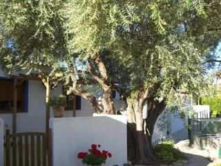 Affitto Casa in Pozo Estrecho. Planta baja con terraza