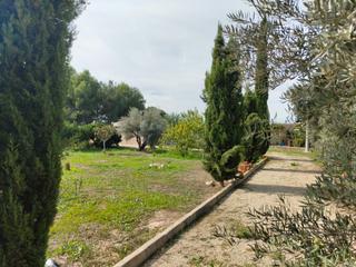 Masia a Torres de Cotillas (Las)