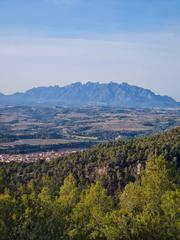 Residential Plot in Carrer ull de llebre 91