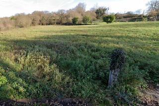 Terrain résidentiel à ciudad jarcín