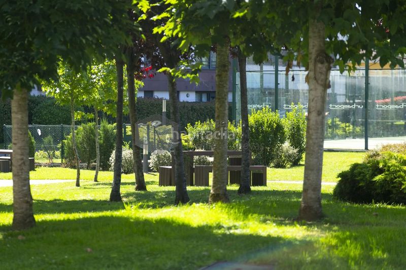 Foto 446451ef-05a8-4897-aa0e-8d7c5db06474. Planta baixa amb calefacció aparcament a Colloto Oviedo