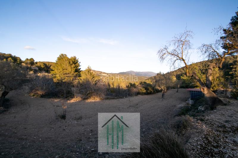 Foto d09f2576-05f8-4e7a-80d4-6afcdc3f5556. Finca rústica en Torre de les Maçanes (la)