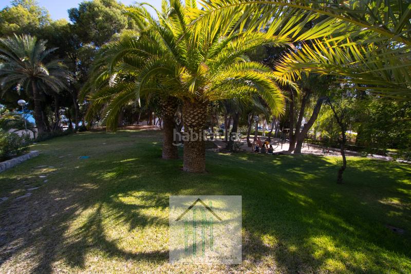 Foto 8face8ec-3e29-4793-a51b-38552af334ae. Alquiler apartamento en Albufereta Alicante