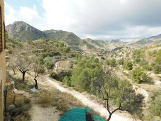 Masia a Sella. Finca rustica con casa en el termino de orcheta y sella!!