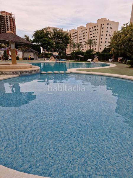 Foto 1f885404-c239-40d4-ae1c-6e65317cee9c. Affitto appartamento con piscina in Alitana-Casablanca Vila Joiosa (la)