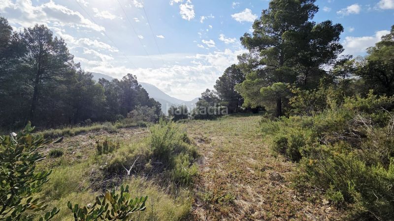 Foto 00acce00-88ce-4731-92d9-9680f25c8159. Terreny residencial a Guadalest