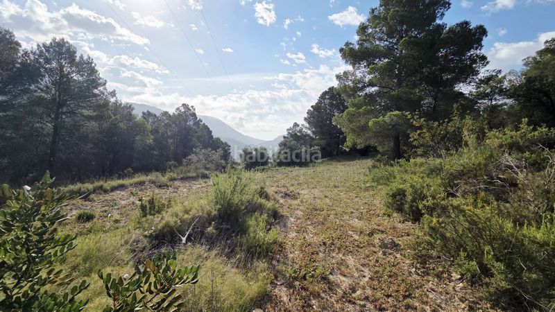 Foto 2909c27e-b31d-4ff5-8c61-fde5d7cae000. Terreny residencial a Guadalest