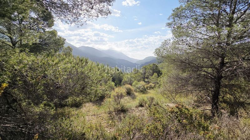 Foto 43c6b292-db7c-4cbd-a5af-89e0c410d61d. Terreny residencial a Guadalest