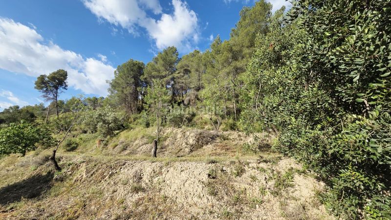 Foto 4519da32-8986-40d7-9c49-826f5d320f9f. Terreny residencial a Guadalest