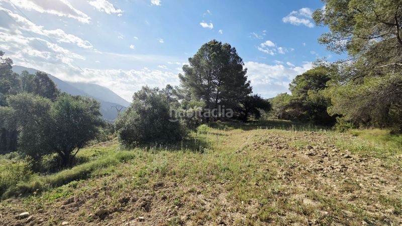 Foto 49fb466a-559e-4075-b8b0-c55c915b8f0b. Terreny residencial a Guadalest