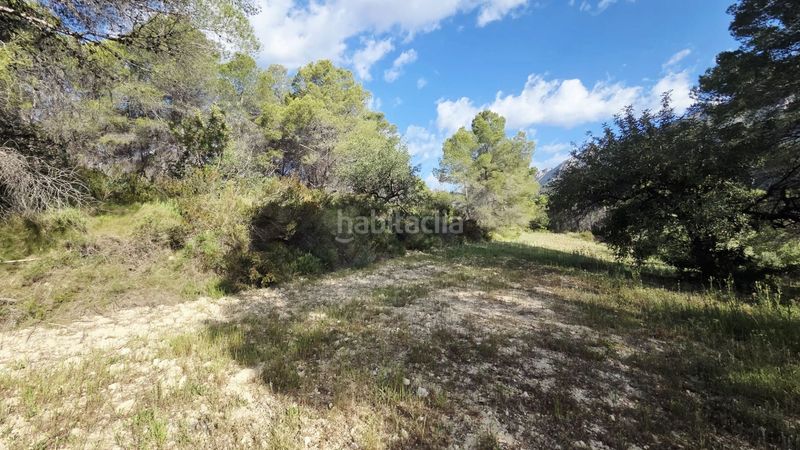 Foto 80b3267b-66b7-47ac-84ba-f135007000ff. Terreny residencial a Guadalest