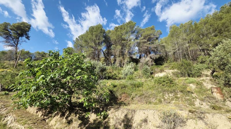 Foto c477ae34-06a6-4291-88ad-49fd9afb6af1. Terreny residencial a Guadalest