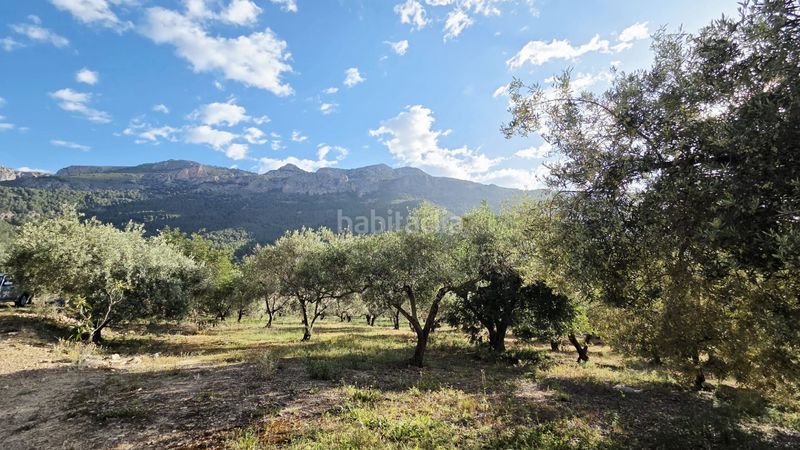 Foto cf40b800-803f-41a6-b174-65f4eca5a39f. Terreny residencial a Guadalest
