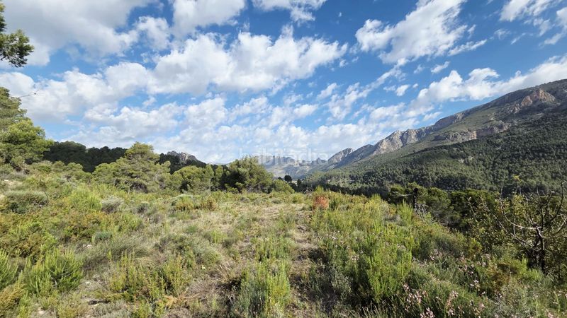 Foto cff65a5e-956c-4027-9f0b-7fb4aeb47d2a. Terreny residencial a Guadalest