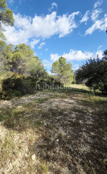 Foto e2d2a32d-6566-4d36-b436-b8415c0264a1. Terreny residencial a Guadalest