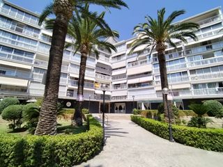 Pis a Rincón Alto