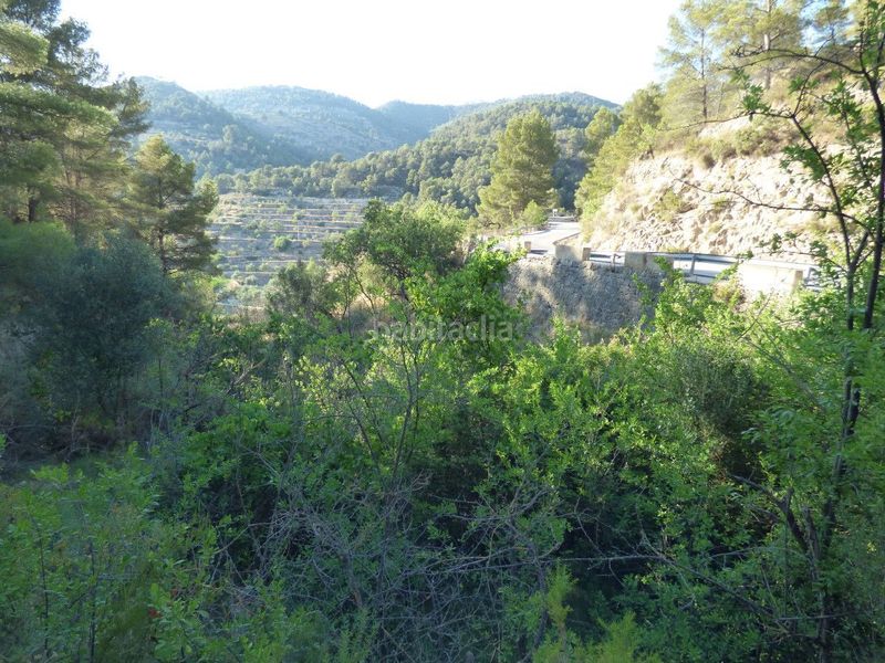 Foto 904e1053-361f-4a1f-bb2e-8f8c6f28a15e. Masia a Relleu