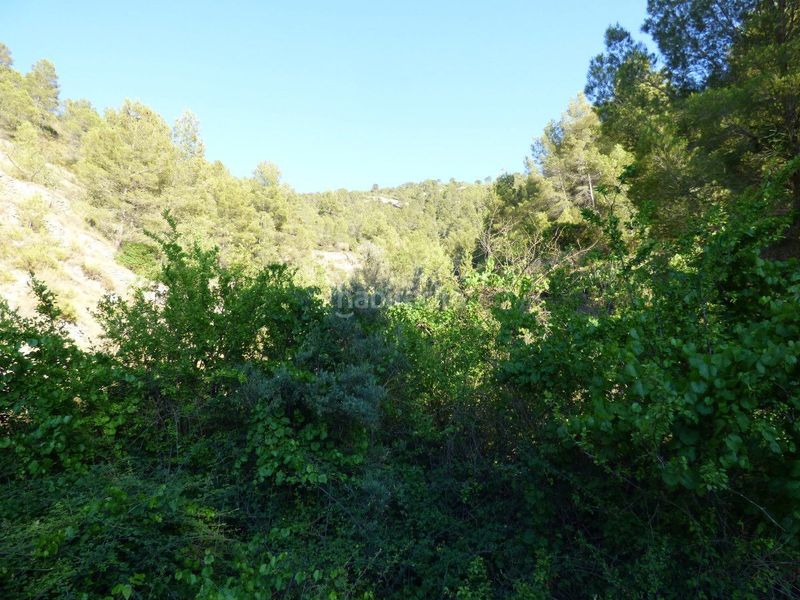 Foto fb7a1d22-f696-44ac-acbe-b57fa5d020b7. Masia a Relleu