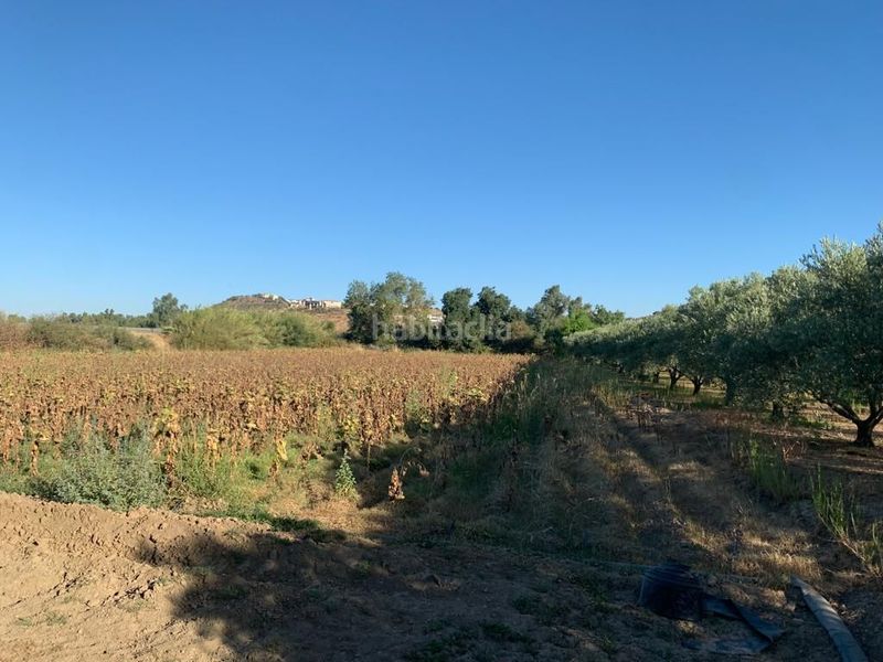 Foto 1a3e3511-2c92-488f-afa1-e879db0bf4d9. Xalet a calle tena 2 a Medellín