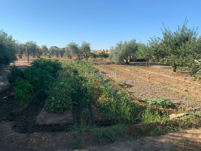 Foto 38dada09-6ee4-443d-85d6-83e6fc6f3841. Xalet a calle tena 2 a Medellín