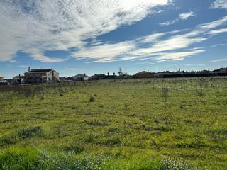 Finca rústica a Avenida de las vegas altas 27. Parcela repiso