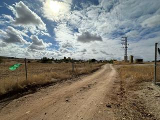 Finca rústica a Haba (La). Terreno en muy buena zona cercano al pueblo la haba
