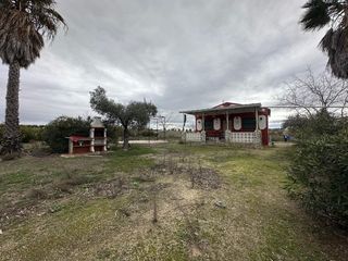 Chalet en Haba (La). Venta de casa de campo con 17.000m2 cerca de la haba