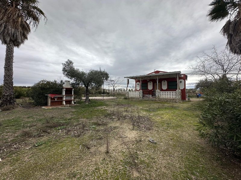 Foto 005e3506-0b81-4ed7-b7a4-67a093dd28d0. Xalet a Haba (La)