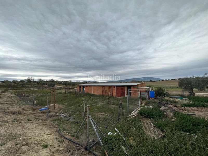 Foto 44918dea-e667-4ec8-8485-170623f53cc5. Xalet a Haba (La)