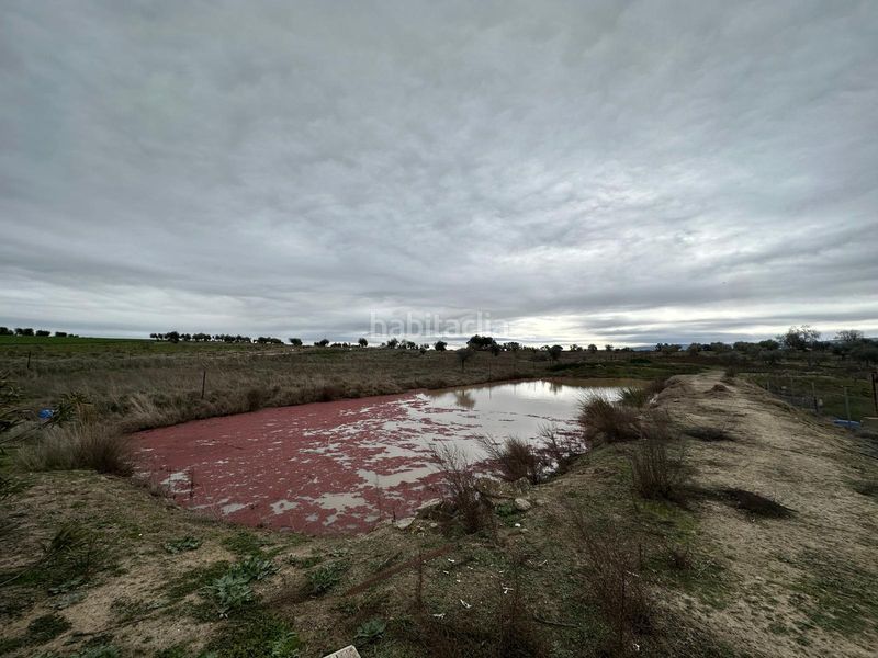 Foto 4d50bd4f-0283-47ca-973e-b05acc1f8165. Xalet a Haba (La)