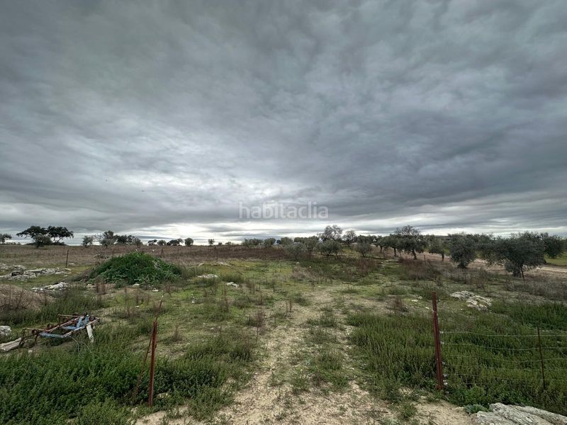 Foto 931ad427-a20e-4c43-bdb0-4f2f00c2f3e7. Xalet a Haba (La)