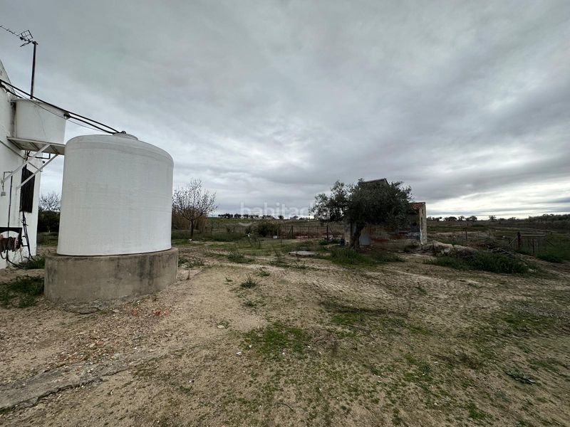 Foto be21226f-f5bd-4ecd-a178-a61868ed3480. Xalet a Haba (La)