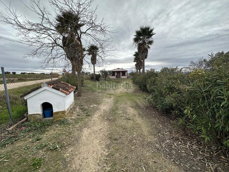 Foto fd8a1555-3393-4383-a6c6-2e350de5938e. Xalet a Haba (La)