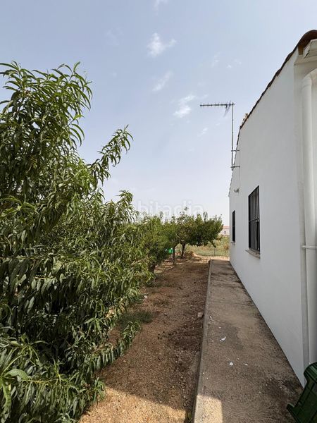 Foto f37ba72b-ce2d-46e7-8e99-2a9d9974abcc. Xalet amb xemeneia piscina a Don Benito