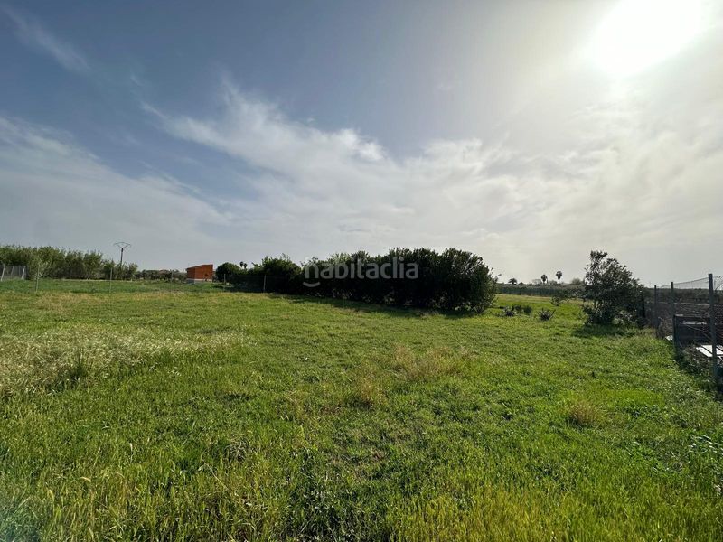 Foto f7078e33-3aa2-41fe-b5d0-40f2b37d58c6. Finca rústica a Don Benito