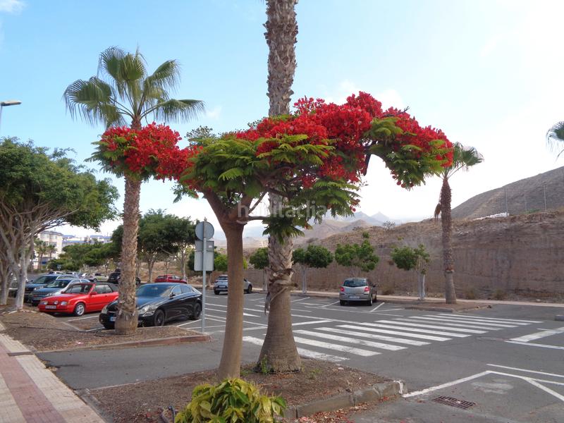 Foto a1ab8466-f7ad-4e93-8d2e-94d483a731f0. Dúplex amb piscina a Los Cristianos Arona